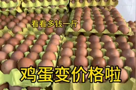 陕西鸡蛋又变价格啦！4月9日看集市上卖多钱一斤？大家说说便宜吗视频封面