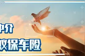 蚂蚁宝车险的操作指南，车险避坑，车险指南。视频封面