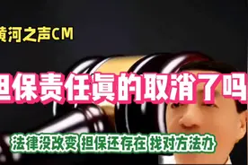 担保责任真的取消了吗视频封面