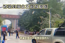 被骗到缅北又释放回国的人会被判刑吗？视频封面
