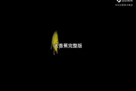 大香蕉完整版视频封面