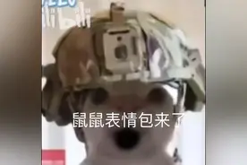 鼠鼠表情包来了视频封面