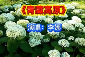 这才是《青藏高原》的原唱，李娜天籁般的歌声，至今无人能够超越视频封面