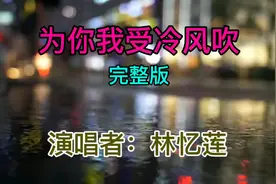 林忆莲《为你我受冷风吹》完整版经典神秘细腻伤感无限回忆特醉人视频封面