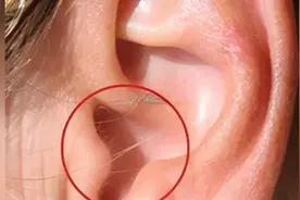 你的耳朵有没有长毛#面相视频封面