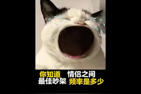 你知道情侣之间最佳吵架频率是多少吗视频封面