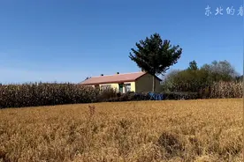 黑龙江国有建设用地，这个允许过户林场小院，房子和土地都不小。视频封面