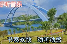 几首非常好听音乐串烧歌曲《纯音乐DJ电子琴452》节奏欢快，动听视频封面