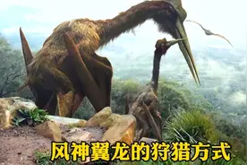 风神翼龙奇葩的狩猎方式，直接将鲨齿龙叼到高空，然后扔下！