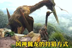 风神翼龙奇葩的狩猎方式，直接将鲨齿龙叼到高空，然后扔下！