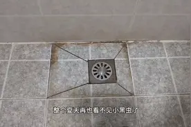 卫生间小黑虫很烦人，教你两招，整个夏天再也看不见小黑虫了实用视频封面