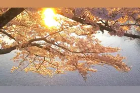 世界如此美好(*^▽^*