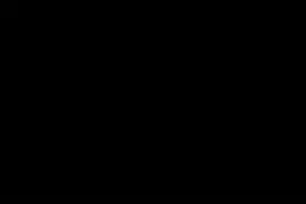 错误化恶搞之家，平行宇宙曲目：身份危机（狂犬病）