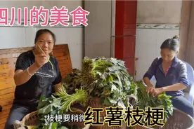 来，五妹告诉你红薯技梗多少钱一斤，怎么样吃，而且营养特别丰富