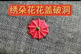 衣服划破个洞别着急，绣朵小花来补救#上热门 #手工 #实用小技巧视频封面