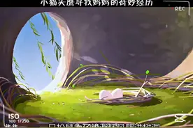 小猫头鹰的寻母之旅视频封面