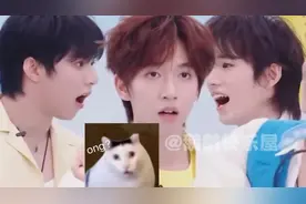 时代少年团模仿奶牛猫表情包，全员喜剧人没错了视频封面