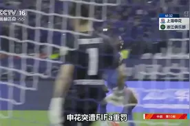 突发！上海申花遭国际足联处罚，一年半内禁止转会，水货外援纠纷