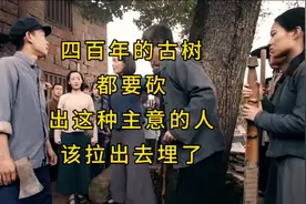 四百年的古树都要砍，出这种主意的人，就该拉出去埋了🔥视频封面