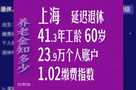 上海市延迟退休，工龄41.3年，个人账户23.9万，60岁退休养老金视频封面