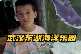 带孩子去东湖海洋乐园，儿子好奇心重一路提问，累并快乐的一天视频封面