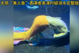#太原“美人鱼”表演者表演时疑溺水#完整版，这水族馆可以关门了视频封面
