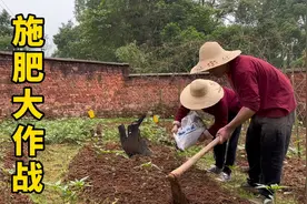 今天给茄子辣椒黄瓜圣女果施肥，晚上吃酸包菜炒猪血太香了！视频封面