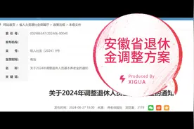 安徽省2024年退休人员养老金调整方案解读#2024年退休金调整方案视频封面