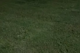 （一口气看完）白日做梦我是世界首富，沙雕动画视频封面