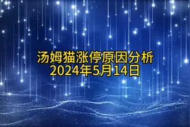 汤姆猫涨停原因分析20240514视频封面