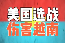 美国坚持征收越南高关税，战略规划让步国内政治，这国都是精神病视频封面