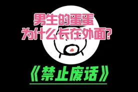 男生的蛋蛋为什么长在外面？视频封面