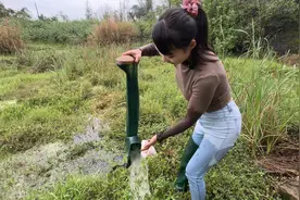 涨水后出现很多黄鳝，这次终于把损失挽回了