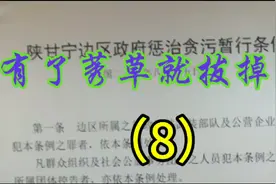 解放日报说在廉洁政治的地面上不允许有莠草生长！有了就拔掉它！视频封面
