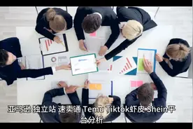 Temu、Tiktok、亚马逊、独立站、速卖通、虾皮、Shein平台分析视频封面