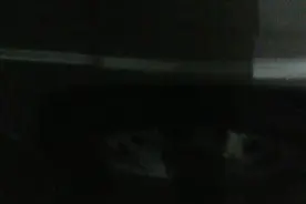 我野了一个小孩的烟卡太高兴了视频封面