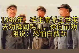 1948年，毛主席派王世英去劝降阎锡山，徐向前劝阻说：恐怕白费劲视频封面