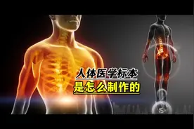 你知道人体医学标本是怎么制作的？视频封面