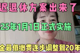 延迟退休方案己出，2025年1月1日正式实施，养老金缴费调整至20年视频封面
