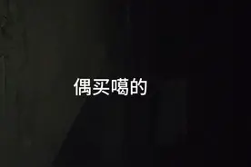 猫咪剧场