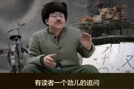 不是我要刻意回避陈大导演视频封面