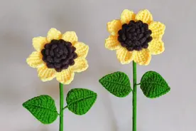钩针向日葵花束(一举夺魁)，教程详细易懂，大朵可试试用双线钩织视频封面