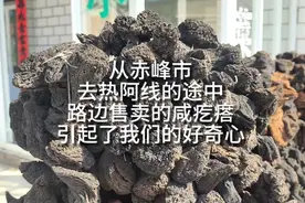 从赤峰市去热阿线的途中  路边售卖的咸疙瘩引起了我们的好奇心视频封面