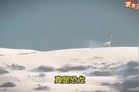 真的假的，恐龙复活啦？世界各地都出现恐龙？新疆雪山拍到长颈龙视频封面