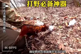 外国小哥制作神器抓野鸡视频封面