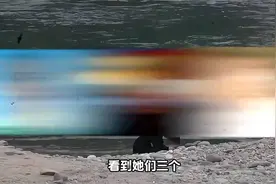 赵丽颖、张小斐、姜岩：小眼睛演员的逆袭与坚守