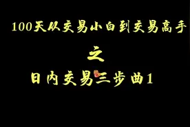 100天从交易小白到交易高手之日内交易三步曲1视频封面