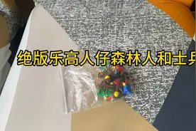 绝版乐高人仔森林人和中古世纪士兵视频封面