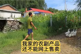 我家的农副产品，现在还不能网上售卖！原因是这个！视频封面