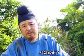 2025最新大型古装喜剧《长安的荔枝》，震撼来袭！#雷佳音